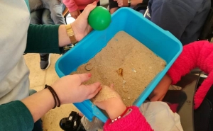 EM LOULÉ CRIANÇAS COM NECESSIDADES ESPECIAIS PARTICIPARAM NAS «FÉRIAS PARA TODOS NATAL»