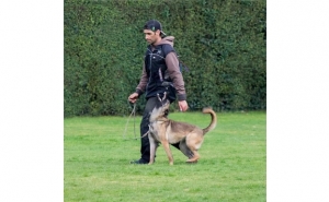 Algarve acolhe 20ª edição da Taça de Portugal do desporto canino IGP 