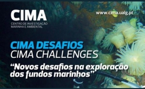 CIMA DESAFIOS