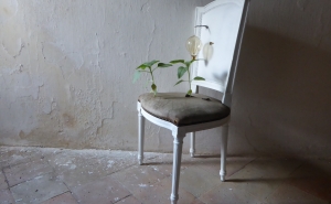 «Loulé Criativo» associa-se ao Festival MED