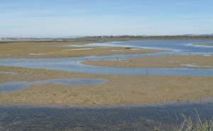Câmara Olhão receia que demolições na Ria Formosa obrigue a indeminizações