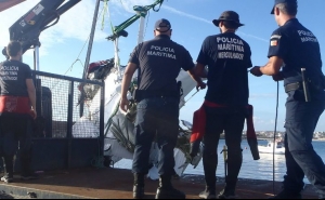 Motor da avioneta que se despenhou em Sagres está a ser recuperado - Marinha