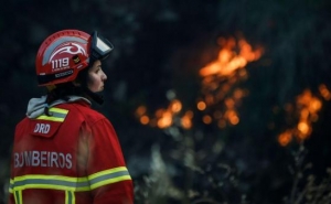 Incêndios: Cerca de 40 concelhos do interior Norte e Centro e do Algarve em risco muito elevado