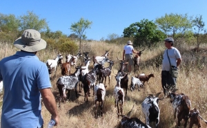 Alcoutim promove Festival de Caminhadas