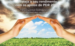 CAMPANHA DE DIVULGAÇÃO DO NOVO SEGURO DE COLHEITAS 2015