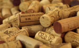 Lagos já recolheu 222 Kg de “ROLHINHAS”