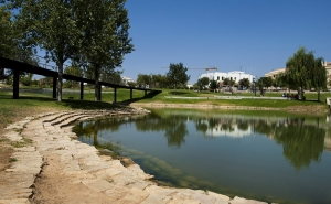 ALMANCIL RECEBE FESTA DA JUVENTUDE 