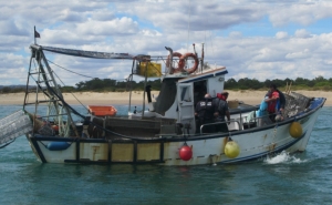 Polícia Marítima fiscaliza utilização de ganchorra em articulação com o IPMA