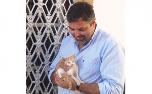 Câmara de Monchique vai esterilizar todos os animais de rua do concelho