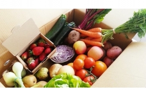 NOVA APLICAÇÃO GRATUITA PARA AJUDAR OS AGRICULTORES A VENDER