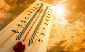 Incêndios: Cerca de 40 concelhos do interior Norte e Centro e do Algarve em risco máximo