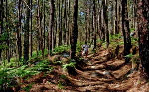 Evento desportivo único em Portugal passa por Lagos