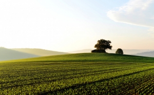 Terrenos cadastrados já podem ser regularizados sem pagar multas