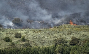 Incêndios: Mais fogos e mais área ardidas em janeiro, face ao mesmo mês de 2021