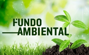 LOULÉ ORGANIZA WORKSHOP TÉCNICO SOBRE ADAPTAÇÃO DOS ESPAÇOS VERDES URBANOS ÀS ALTERAÇÕES CLIMÁTICAS