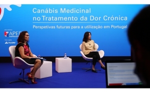 Profissionais de saúde debatem utilização da canábis medicinal para a dor crónica 