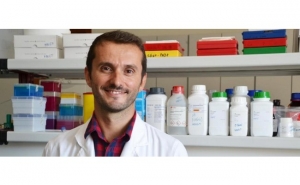 INVESTIGADOR DA UALG TESTA TERAPIA INOVADORA