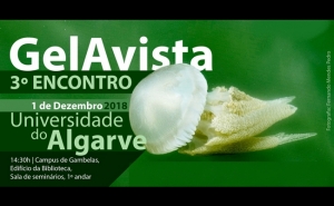 3º ENCONTRO GELAVISTA REALIZA-SE NA UALG