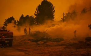 Fogos já consumiram mais de 172 mil hectares este ano, 32 mil entre sábado e domingo