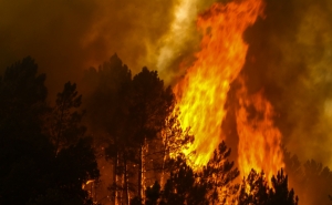 Incêndios: Proteção Civil coloca quatro distritos em estado de alerta de nível vermelho