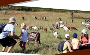 V FESTIVAL DE CAMINHADAS ALCOUTIM E SANLÚCAR DE GUADIANA