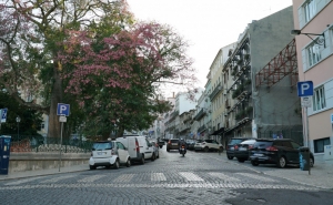 Prestação da casa desce em dezembro para a maioria dos portugueses