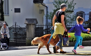 Metade das famílias portuguesas ganha menos de 10.000 euros por ano