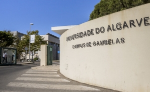 Universidade do Algarve vai aumentar para 100 as vagas em Medicina