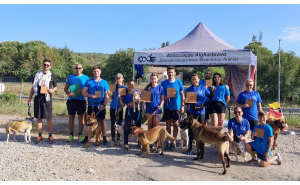 Associação Algharbravo encerra Campeonato Nacional de Dog Puller com resultados de excelência