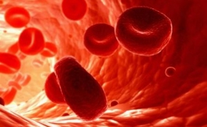 Qualidade de vida dos doentes com Hemofilia melhora substancialmente com terapêutica de terceira geração