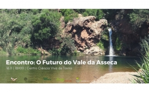 O Futuro do Vale da Asseca 