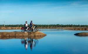 ALGARVE NATURE FEST 2026 CONVIDA A DESCOBRIR A RIA FORMOSA DE LOULÉ A VILA REAL DE SANTO ANTÓNIO