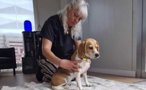 MAR Shopping Algarve promove curso de massagem para cães 