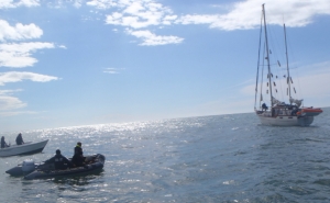 Autoridade Marítima em operação de reboque de veleiro junto à ilha de Faro