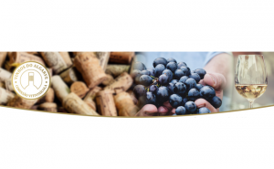 Presidente do IVV satisfeito com evolução positiva dos Vinhos do Algarve 