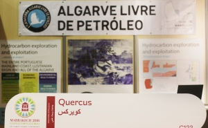 PALP está na 22ª Conferência do Clima da ONU em Marraquexe