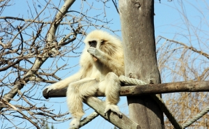 Parque Zoológico e Câmara Municipal de Lagos empenhados em promover a literacia ambiental