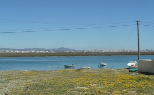 Parlamento vota hoje projetos do PS, PCP e BE sobre demolições na Ria Formosa