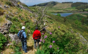 Esposende doa a Monchique verba que estava destinada a fogo-de-artifício