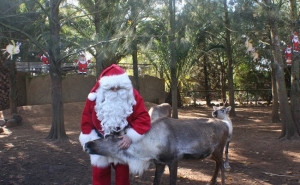 Maior festa de Natal do Algarve acontece no Zoo de Lagos