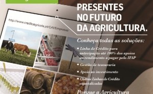 Crédito Agrícola reforça aposta no sector agrícola