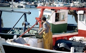 Portugal e Espanha renovam acordo bilateral na gestão das quotas pesqueiras