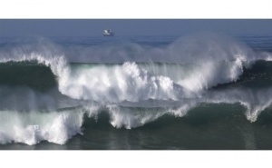 Autoridade Marítima reforça alerta: mar agitado e ondulação forte até ao fim-de-semana