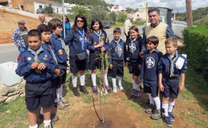 Plantação de amendoeiras assinala Dia da Árvore na União de Freguesias de Lagoa e Carvoeiro
