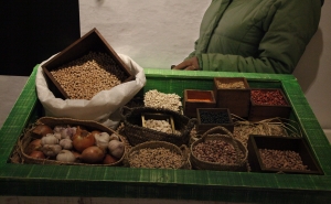 Seminário «As leguminosas na Dieta Mediterrânica»