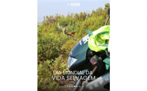 O papel da GNR na proteção da Vida Selvagem