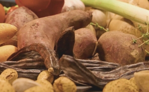 Lançamento da Marca Saborear o Algarve