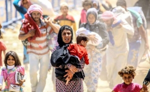 Alvito acolhe Refugiados