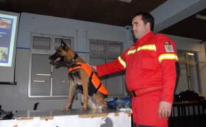 Bombeiros Municipais receberam formação de socorro em animais