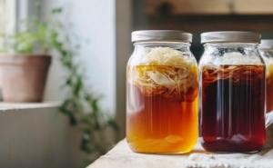 Universidade do Porto tem formação gratuita sobre alimentos fermentados